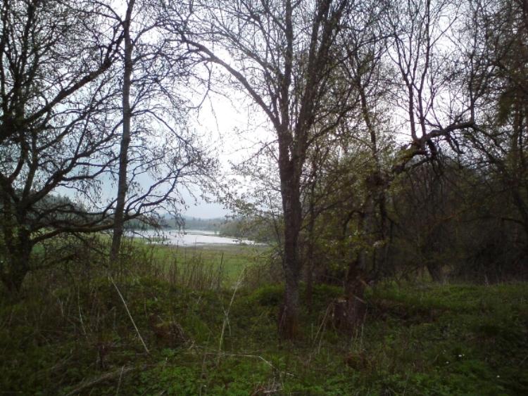 Moldau3