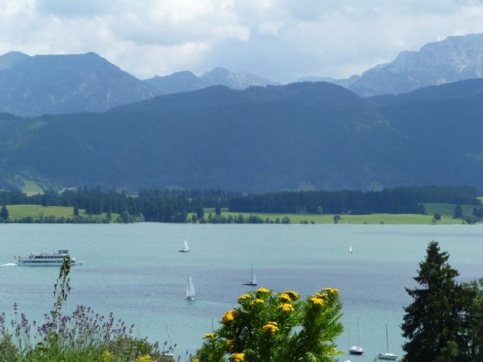 Terassenblick