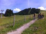 2014ZellamSee_08