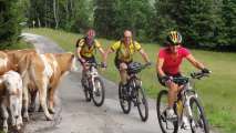 2014ZellamSee_16